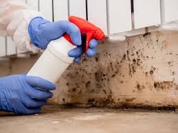 Professional Mold Removal & Remediation in New Milford, NJ